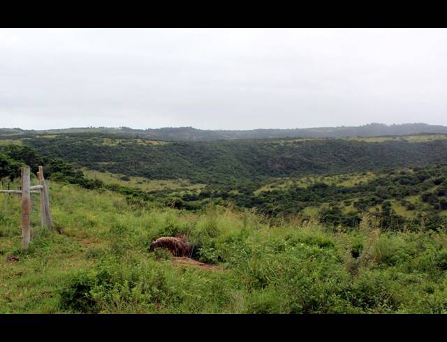 168HA FARM FOR SALE IN EAST LONDON RURAL